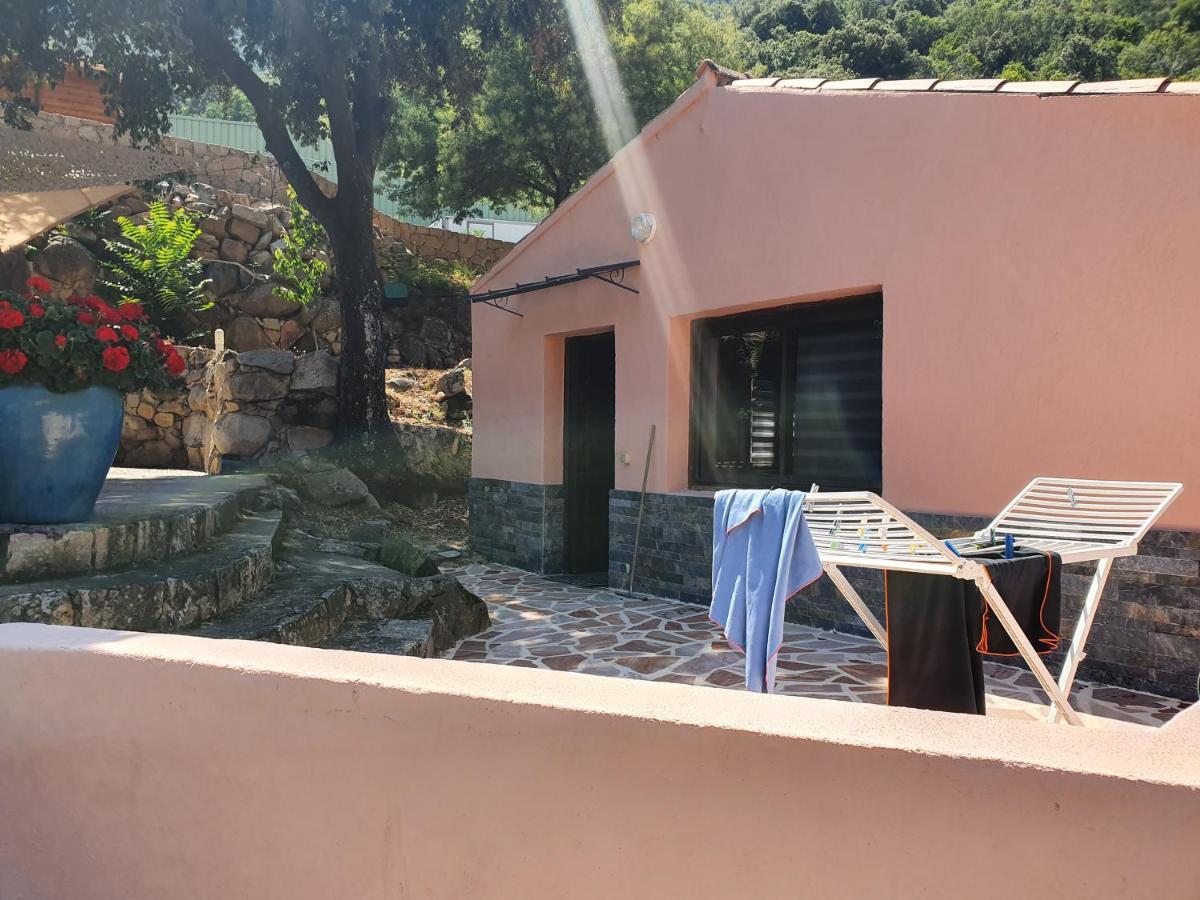 Villa Casa Del Torrente Porto  Esterno foto